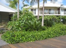Kwikfynd Residential Landscaping
southcoast