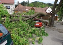 Kwikfynd Tree Cutting Services
southcoast